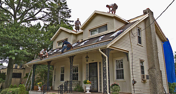 Best Gutter Installation and Roofing  in Gridley, IL